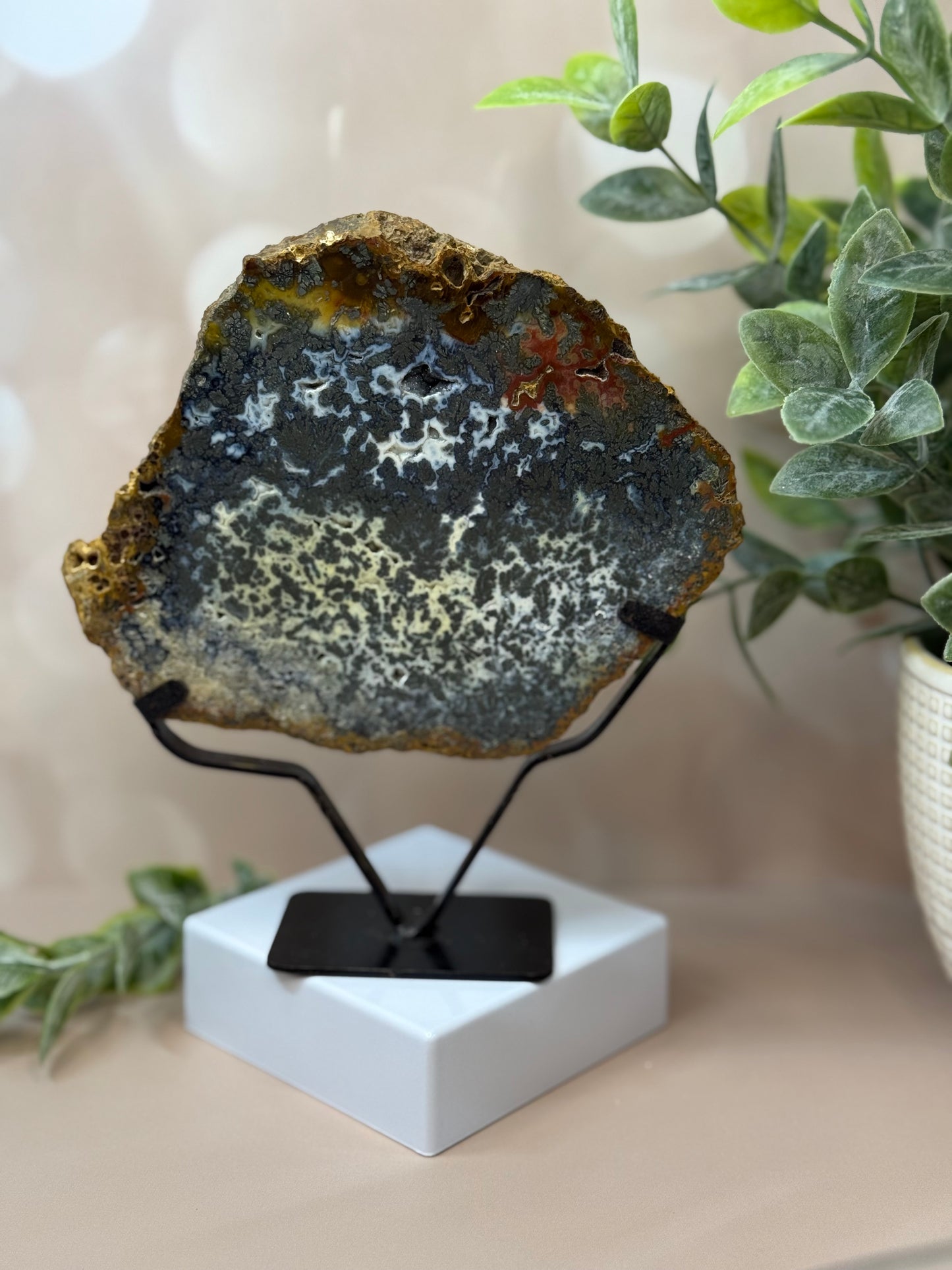 marcascite slam on stand 55e