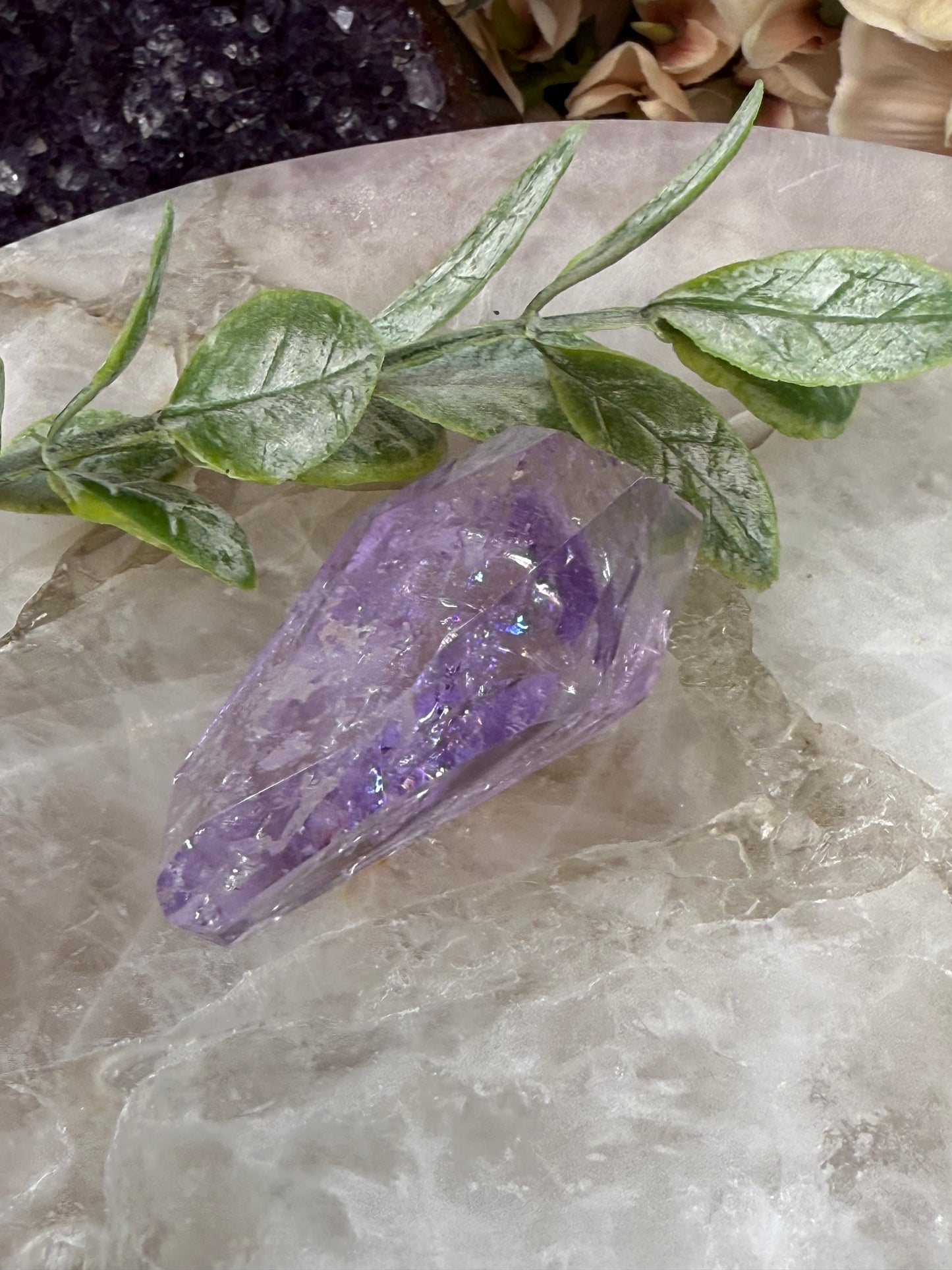 rose de France amethyst 28n