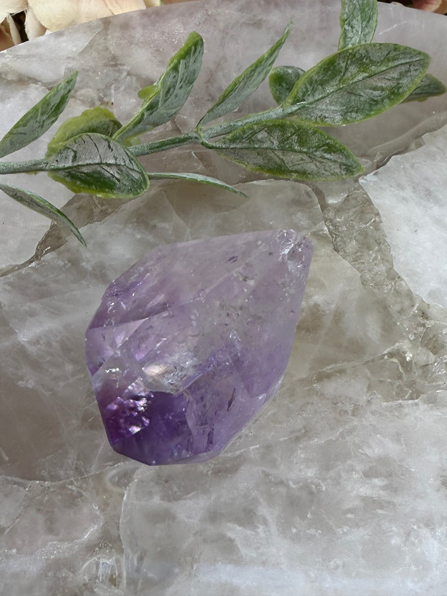 rose de France amethyst 27h