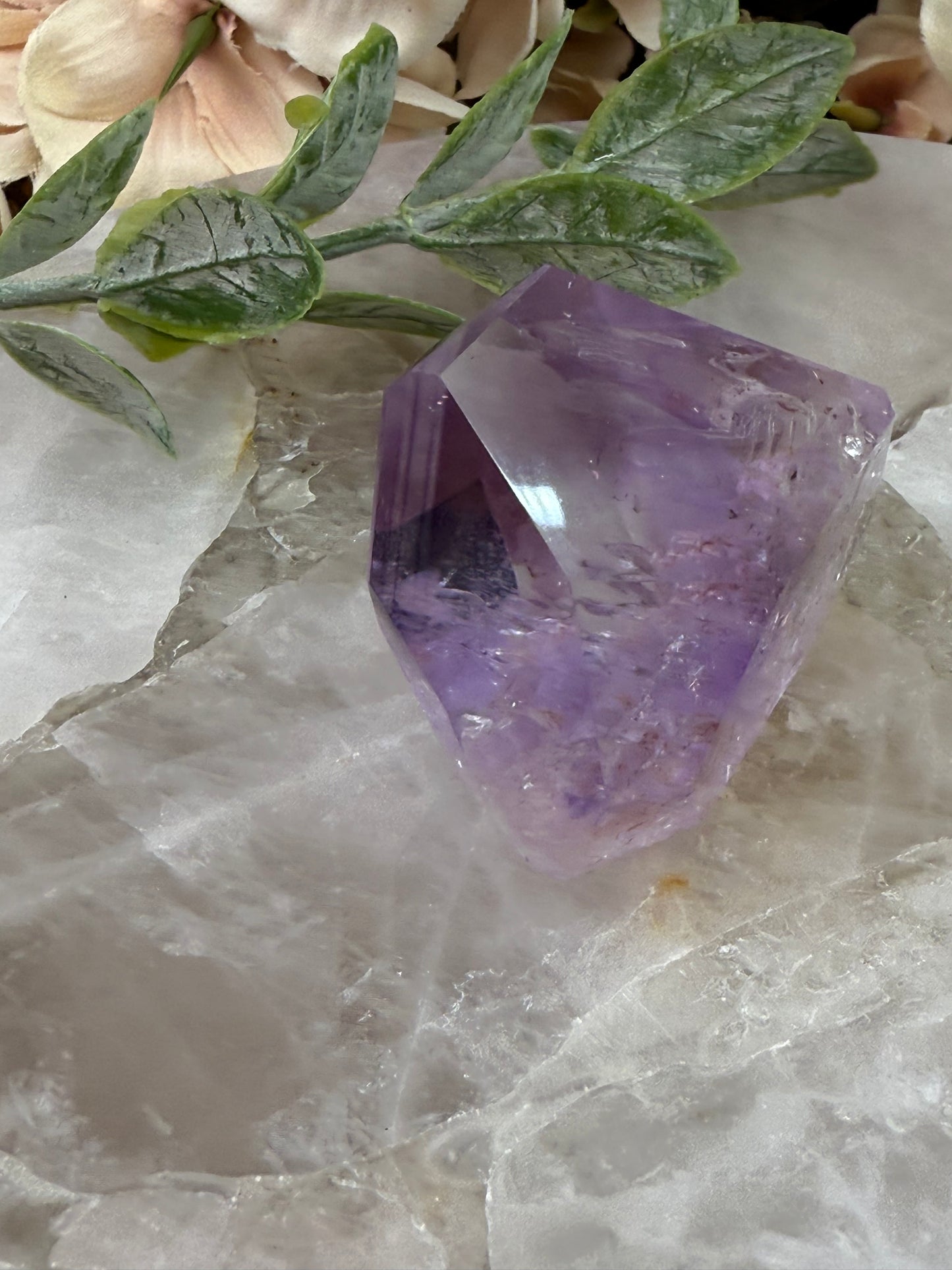 rose de France amethyst with citrine and phantoms 29r