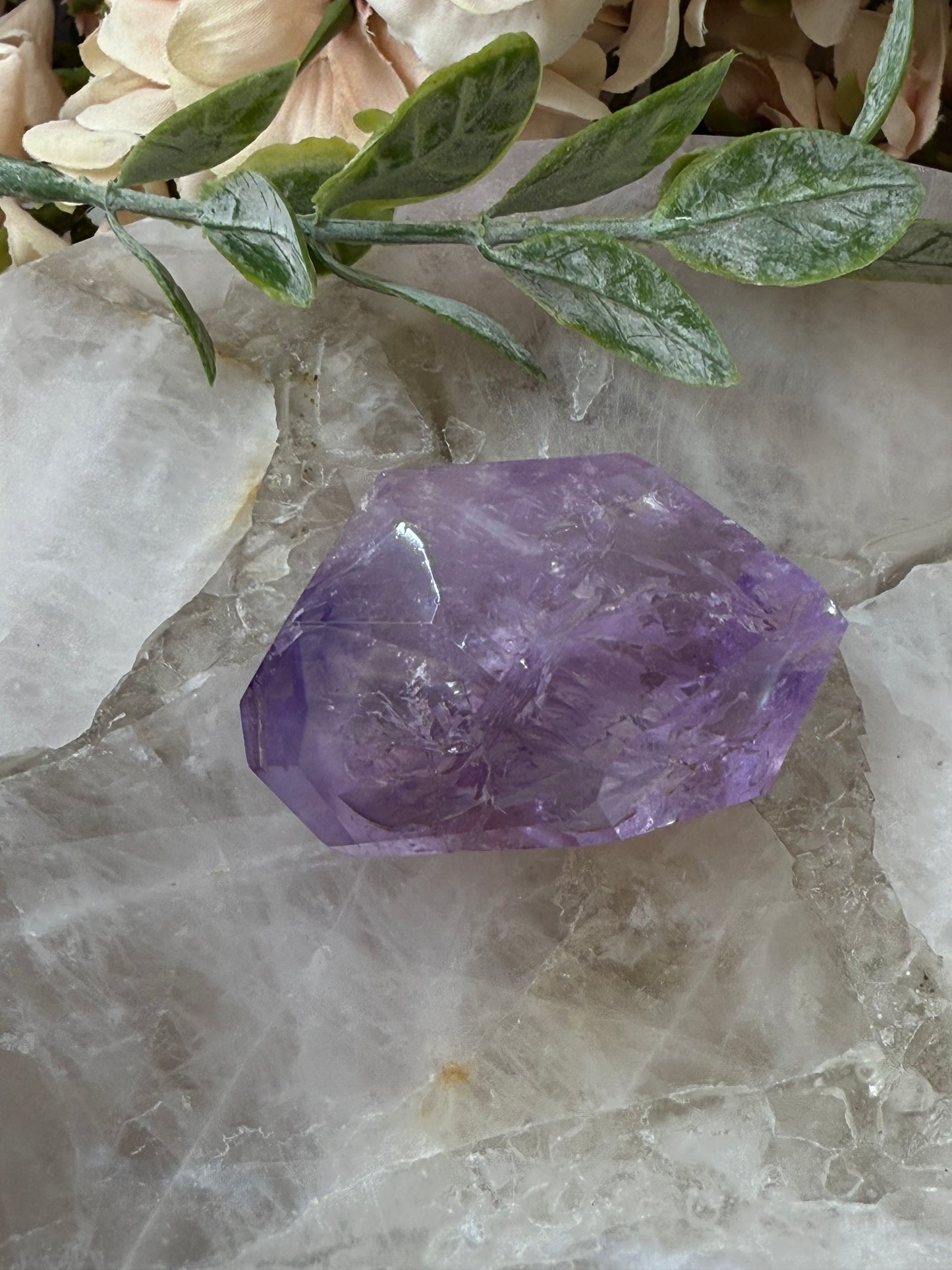 rose de France amethyst 32c