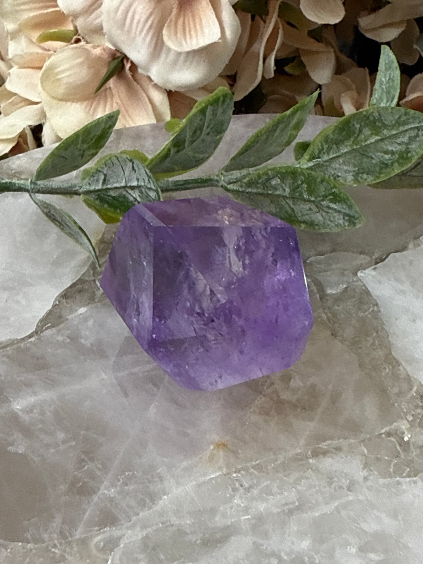 rose de France amethyst 33h