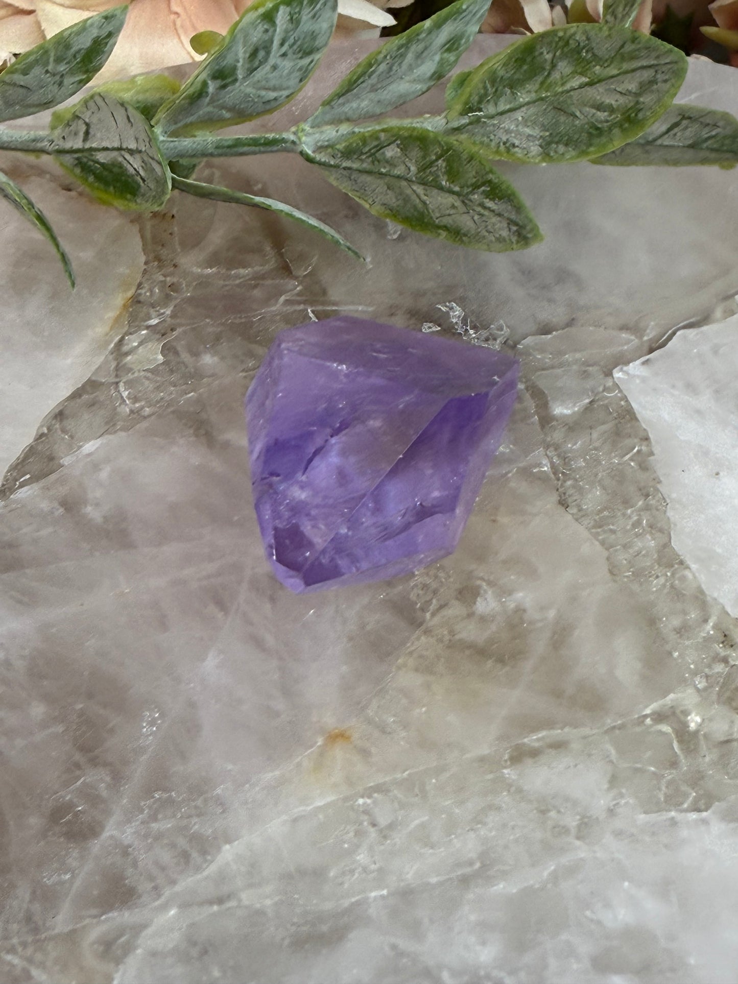 rose de France amethyst 19
