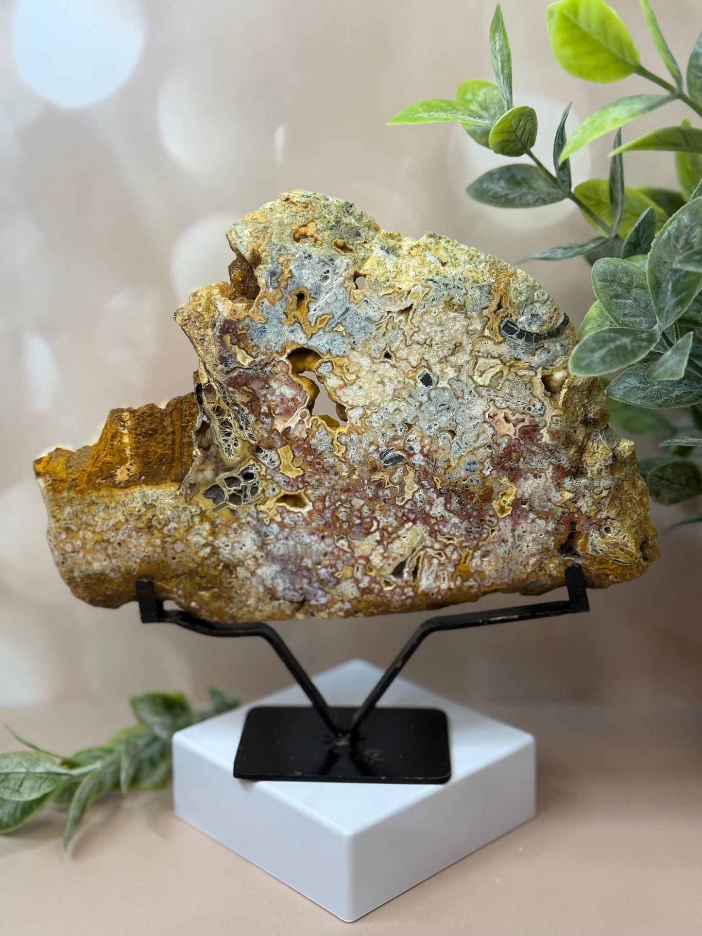 marcascite slab on stand 55c