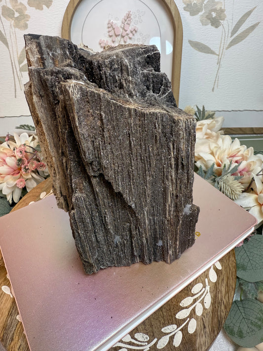 permineralized wood piece